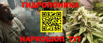 шишки Ливны