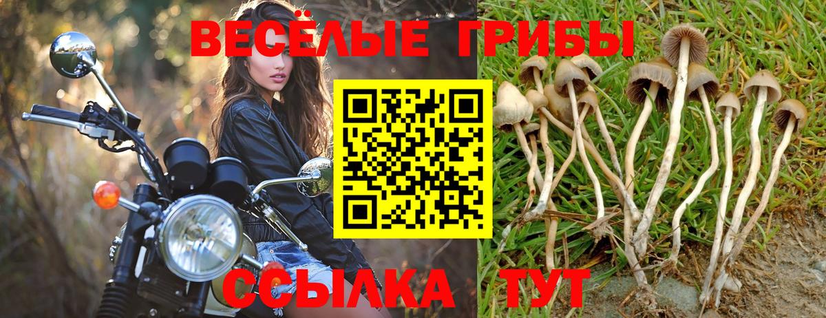 Псилоцибиновые грибы Psilocybine cubensis  Вход с VPN  Донецк 